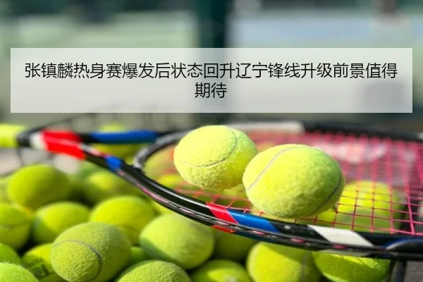 张镇麟热身赛爆发后状态回升辽宁锋线升级前景值得期待