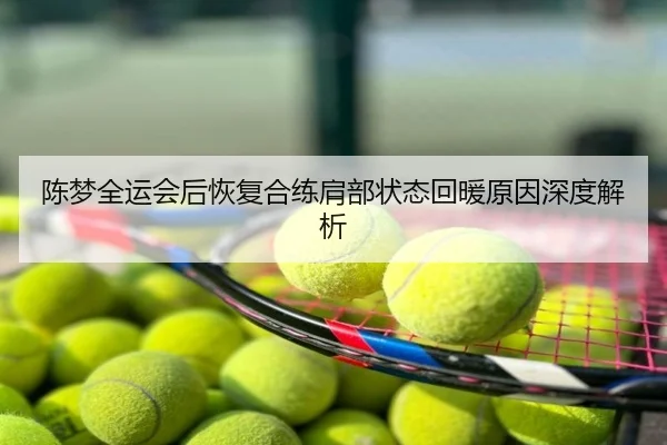 陈梦全运会后恢复合练肩部状态回暖原因深度解析