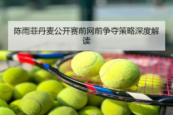 陈雨菲丹麦公开赛前网前争夺策略深度解读