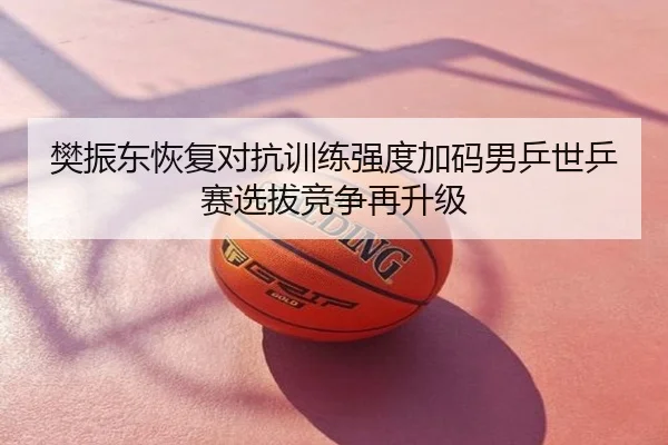 樊振东恢复对抗训练强度加码男乒世乒赛选拔竞争再升级